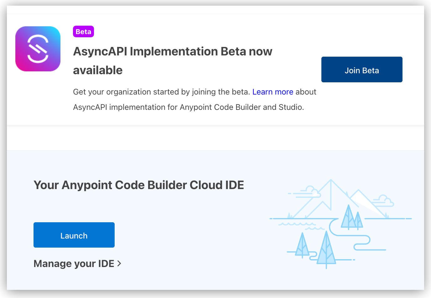 Administrator view of the Anypoint Code Builder landing page