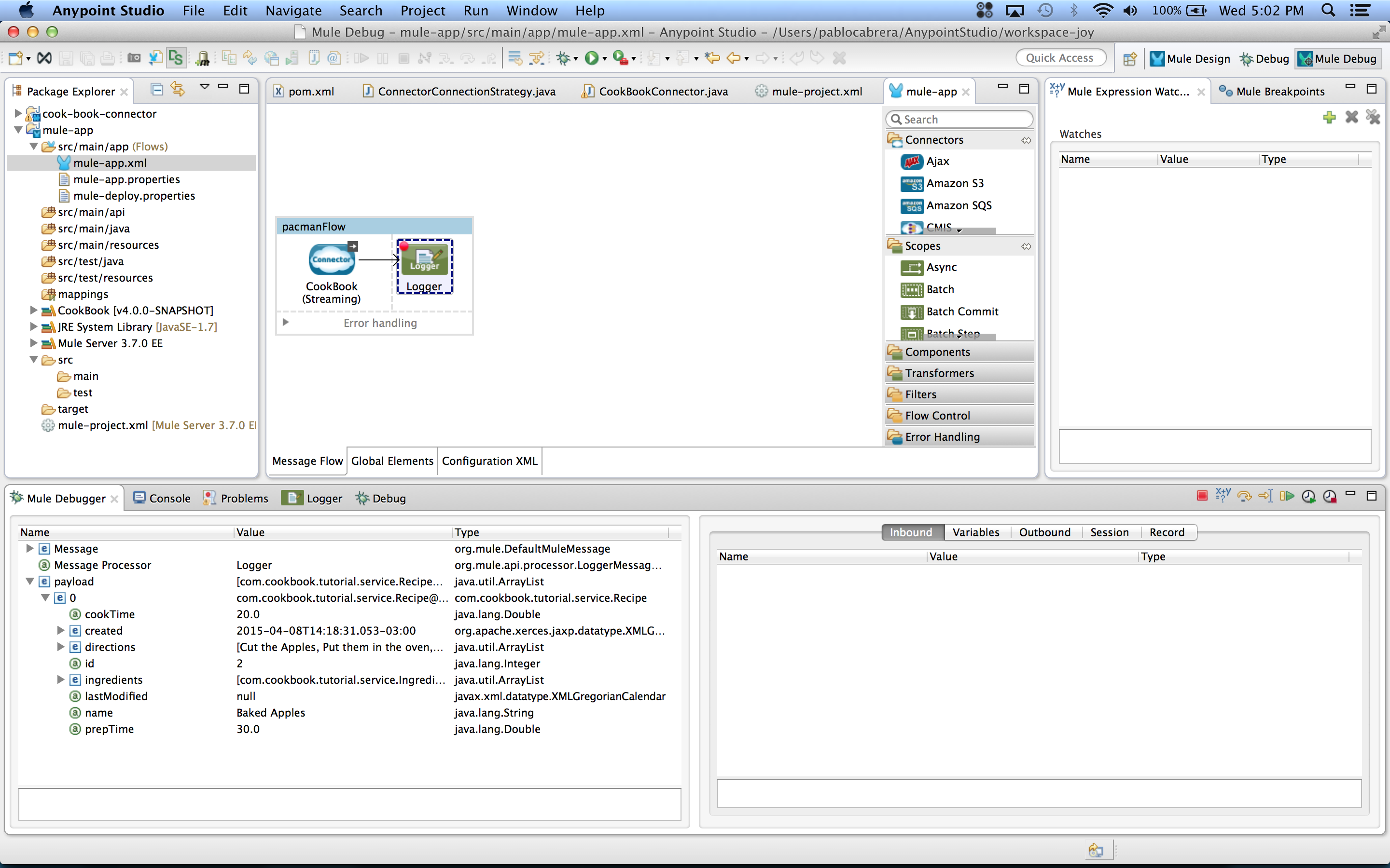 Mule Debugger panel for Logger