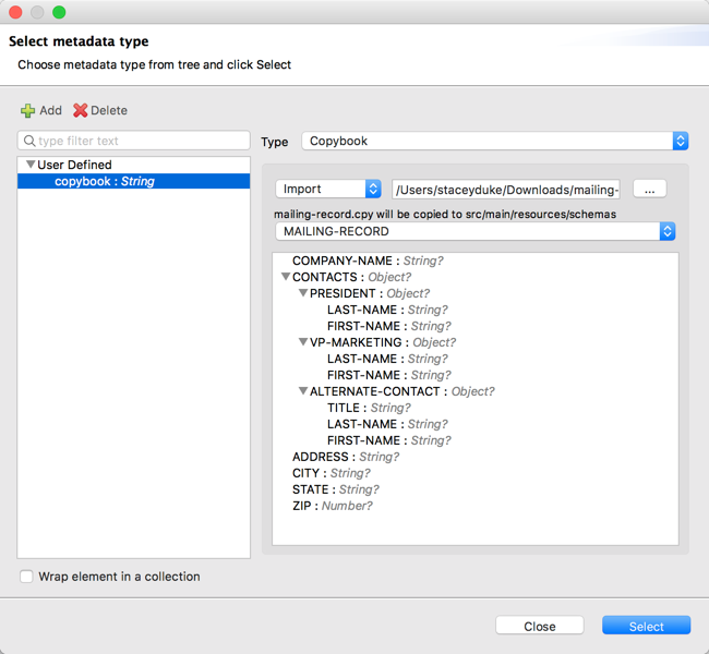 A selecting metadata type interface for importing a copybook definition file