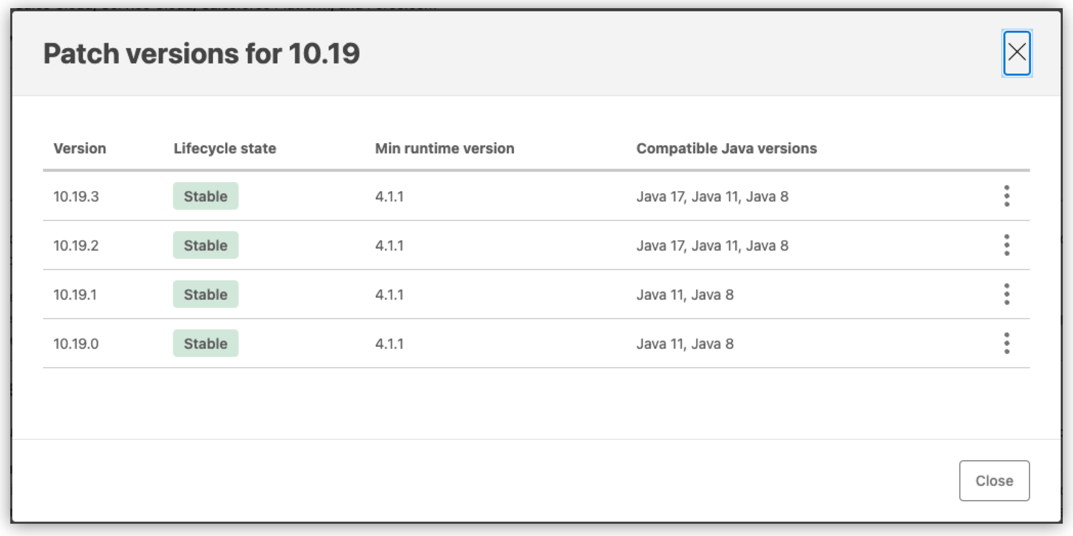 The asset version showing the minimum runtime version and compatible java versions