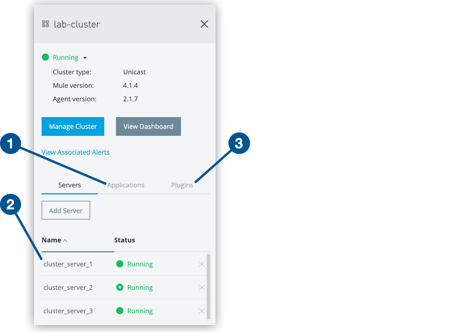 Applications tab, servers list, and Plugins tab