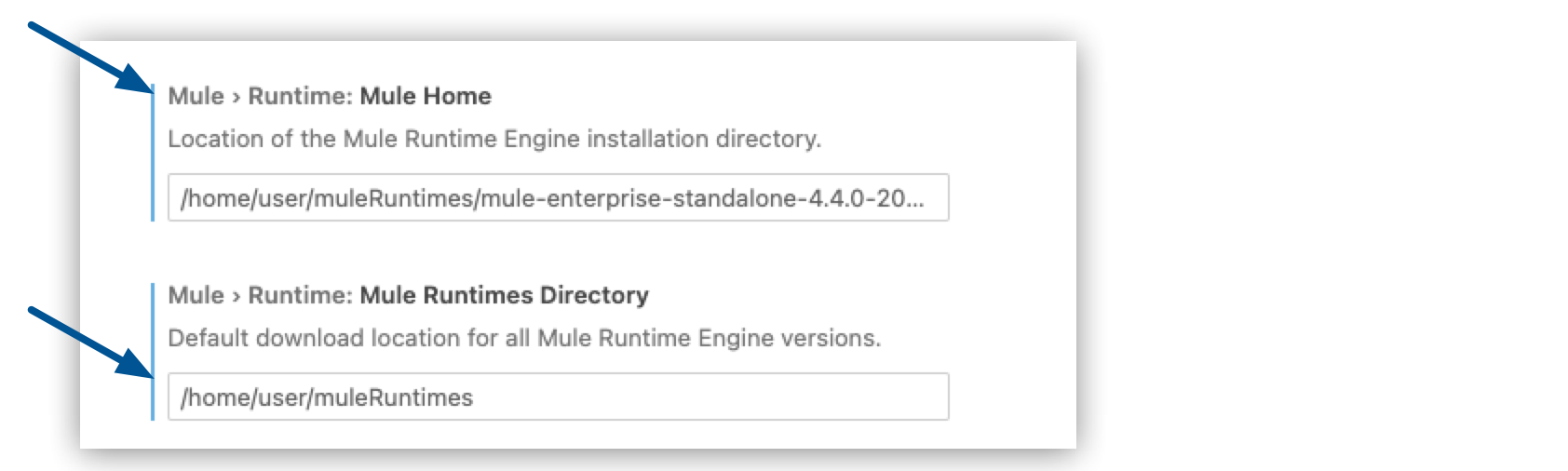 mule runtimes settings