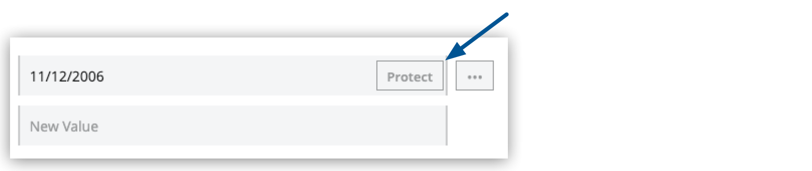 「Properties (プロパティ)」 タブの 「Protect (保護)」 ボタン