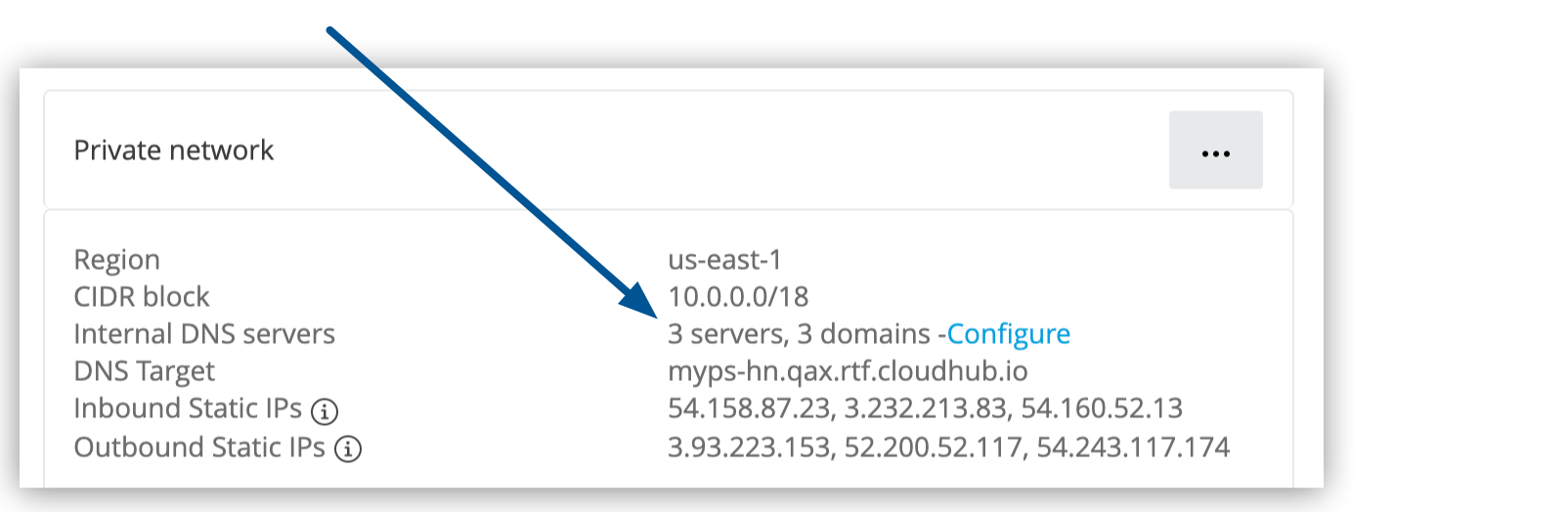 [Private Network (非公開ネットワーク)] セクションの内部 DNS 設定