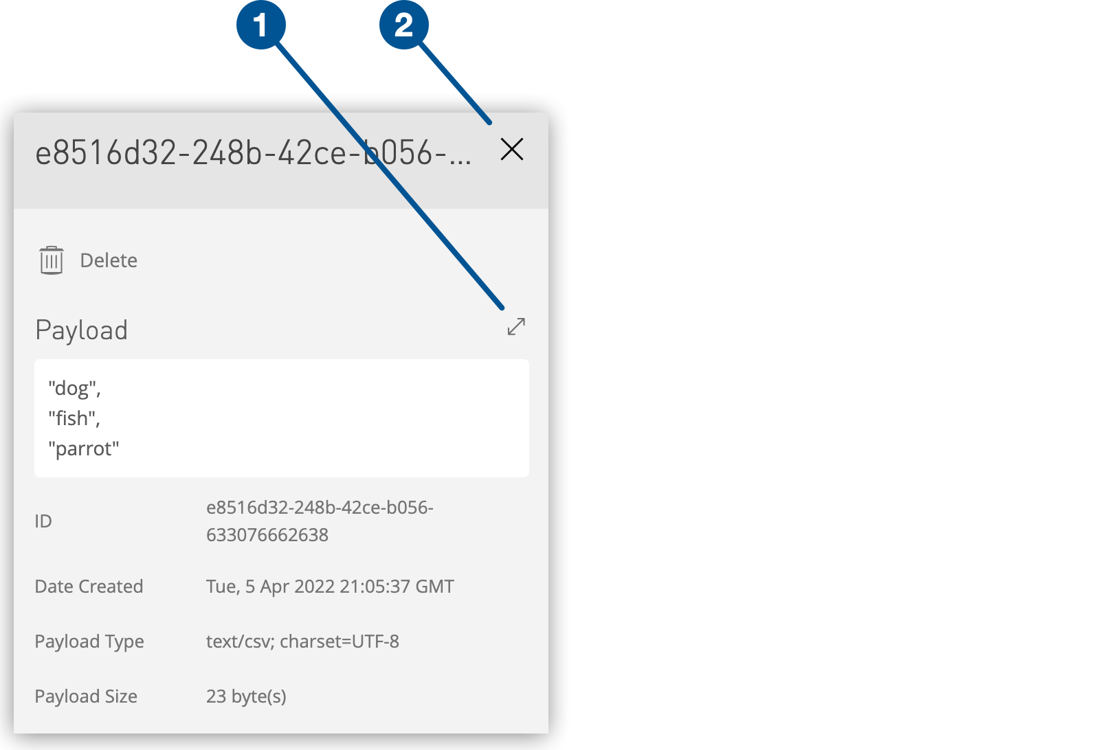 CSV ペイロード、[Full Screen (全画面)] アイコン、詳細ペインを閉じるアイコン