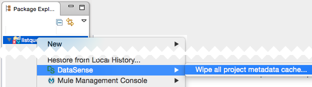 Dropdown menu with the Wipe all project metadata cache option highlighted