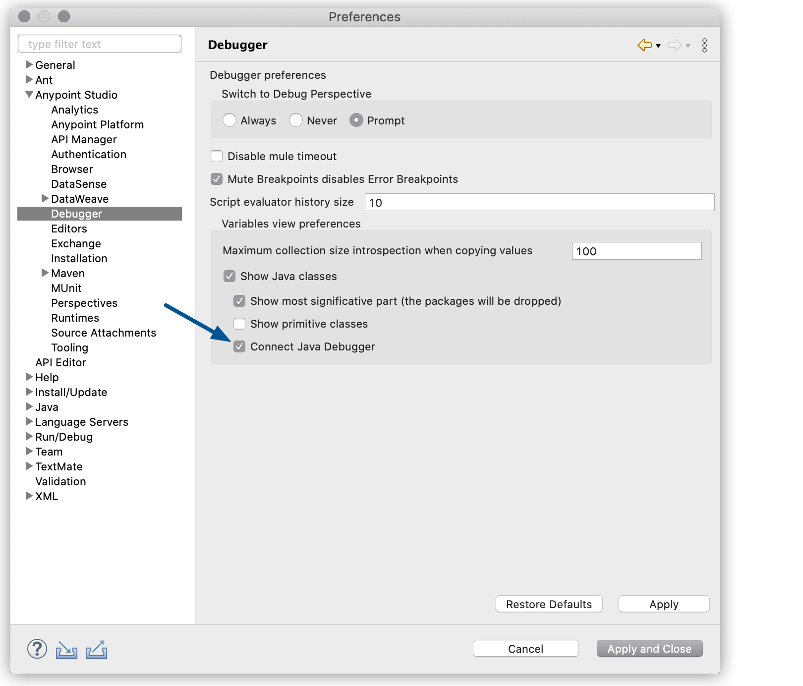 connect java debugger