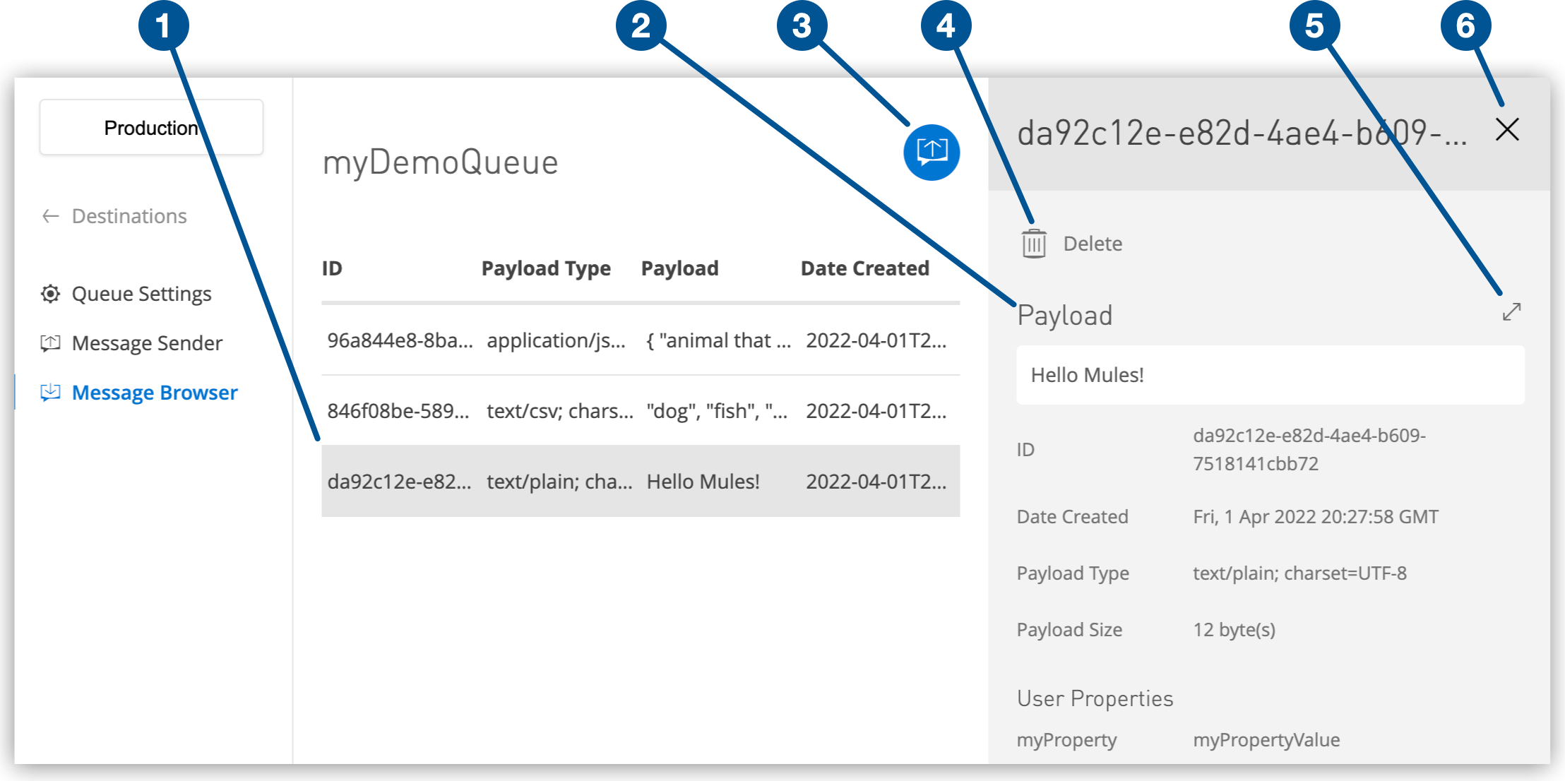 Selected message row, payload in the details pane, and icons representing Return Messages, Delete, Full Screen, and close details pane