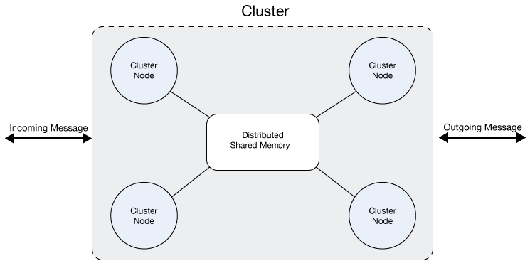 Multiple cluster nodes with distributed shared memory