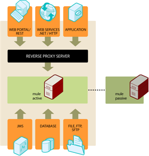 A high-availability architecture featuring web services and a reverse proxy server