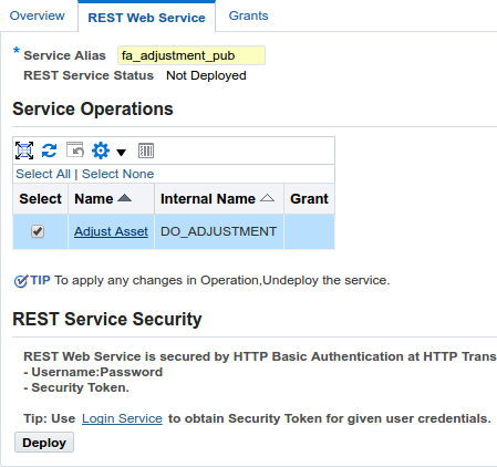 Deploy PL/SQL - Adjustment API Configuration