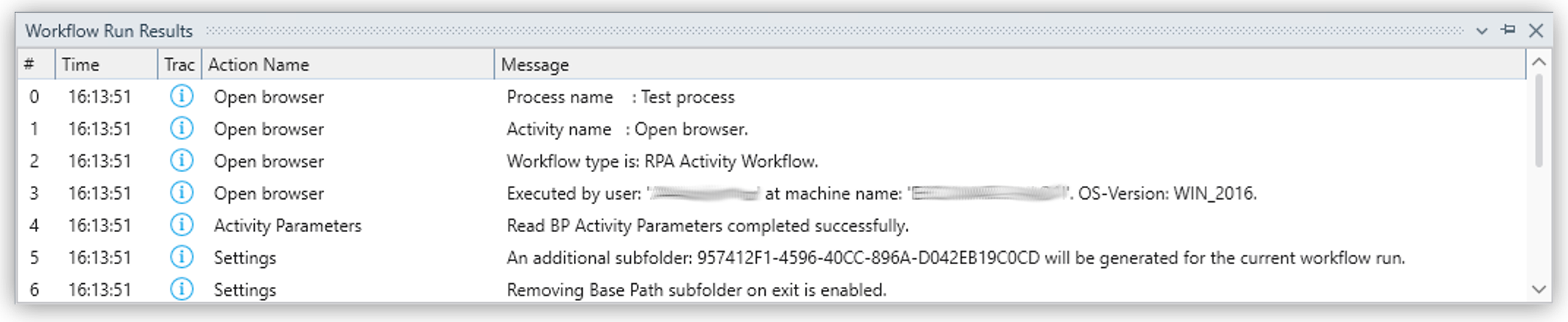 The Workflow Run Results window