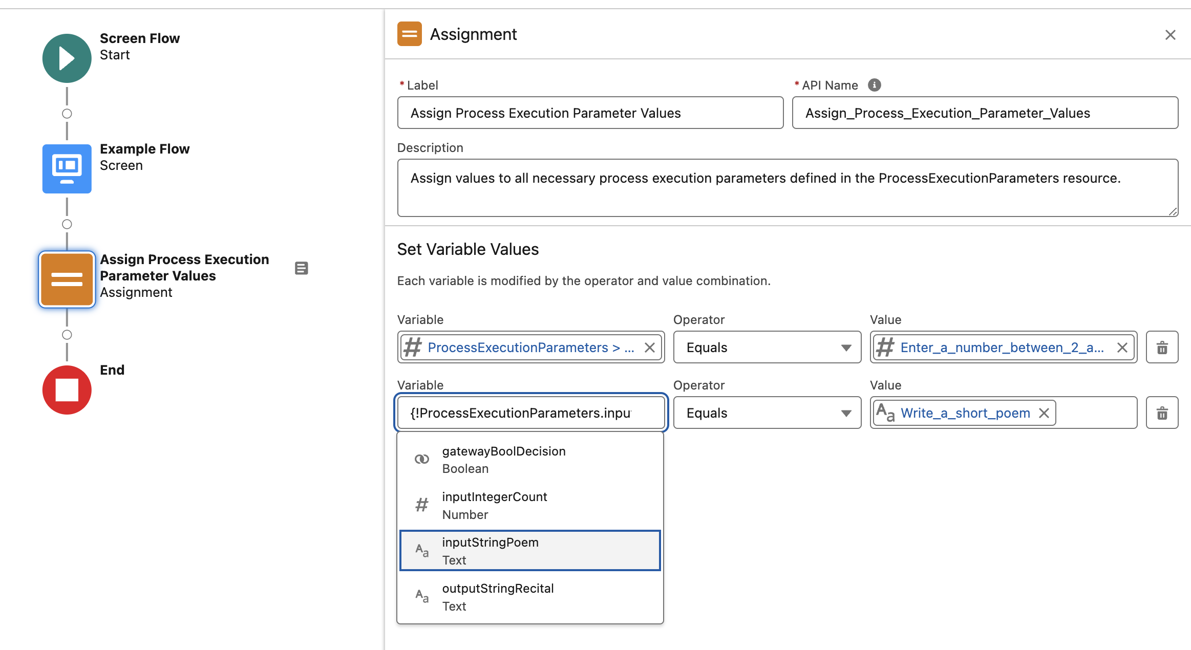 Assignment of the input paramters from the screen to the process execution resource variables in Flow Builder