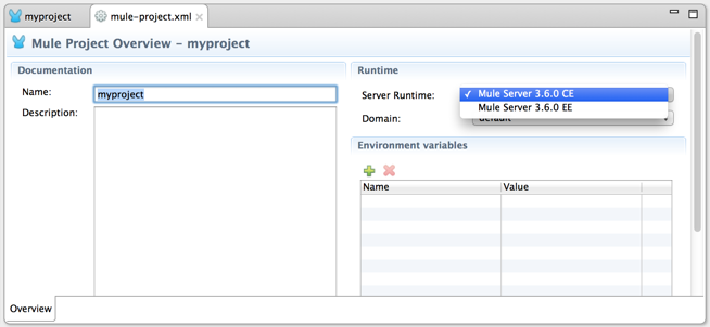 A window displaying Mule Project Overview settings, such as documentation and runtime information