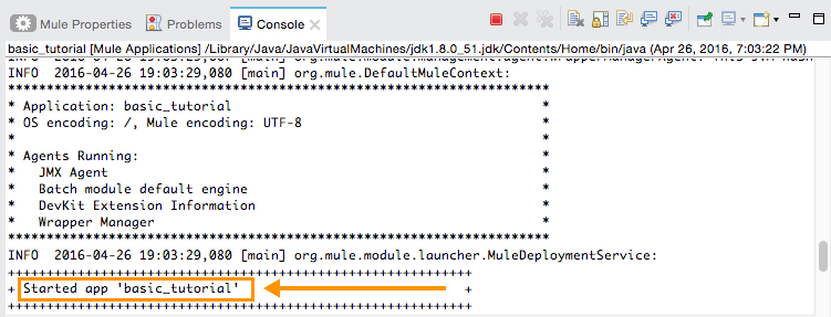 Console output indicating the successful launch of the 