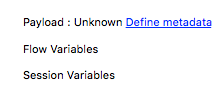 A link to define metadata, the words Payload, Flow Variables, and Session Variables