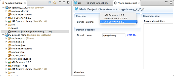 A Mule Project Overview for api-gateway 2.2.0.