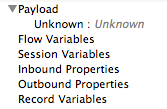 A list of variables, including flow, session, inbound, outbound, and record variables