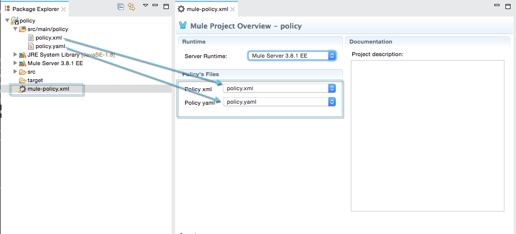 A project overview with fields for runtime, server runtime, policy files, and documentation